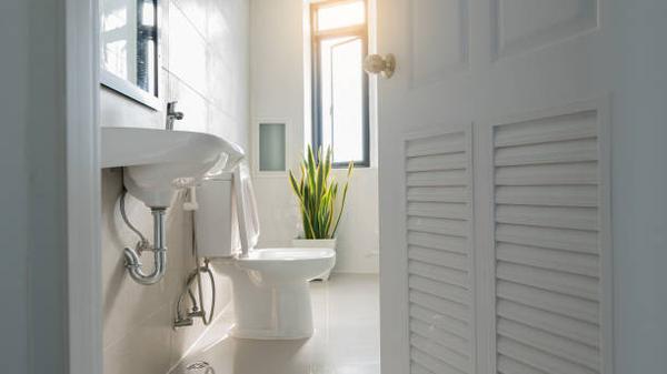 Professional Clogged Toilet Repair Modesto